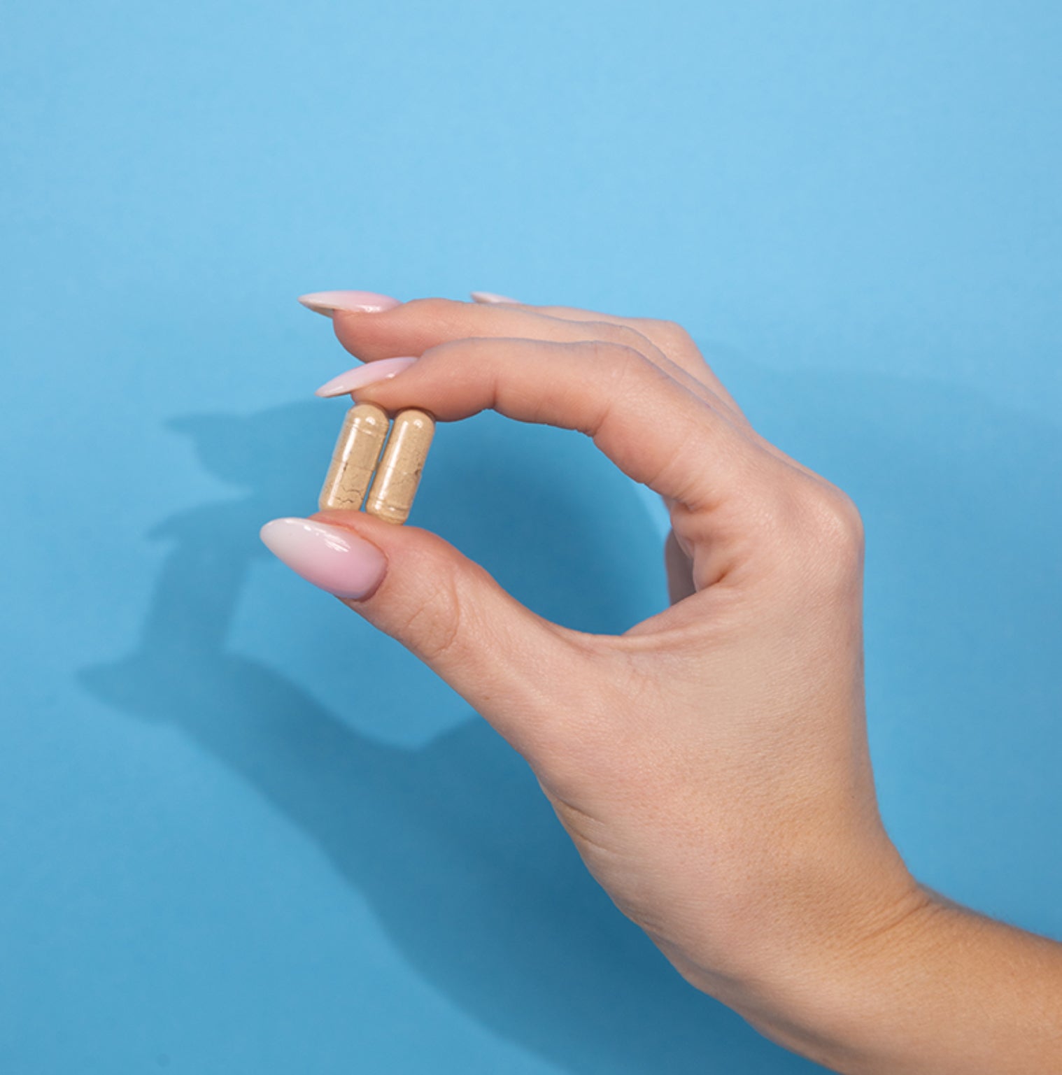 MindFocus – Concentration, Mémoire & Motivation | Complément Naturel 100% Vegan